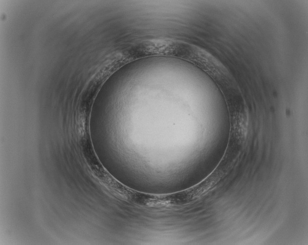 X0000067520602200604071323