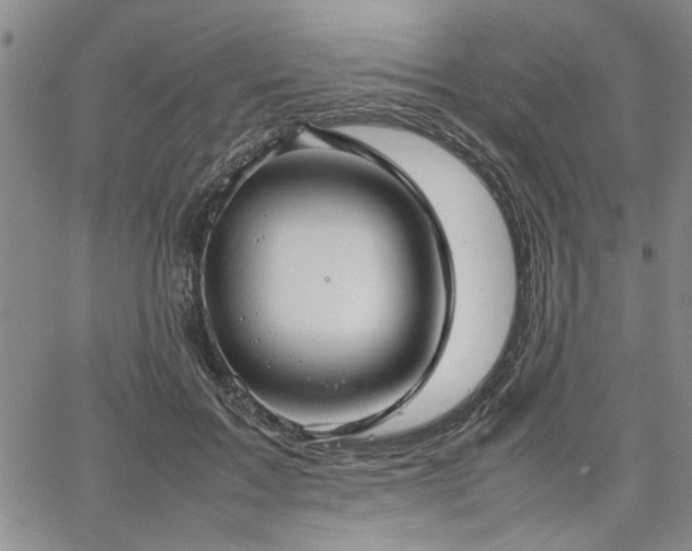 X0000067520603200604071323