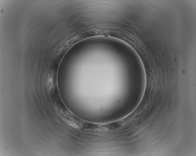 X0000067520604200604071323