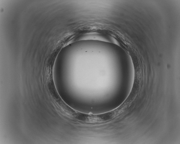 X0000067520605200604071323