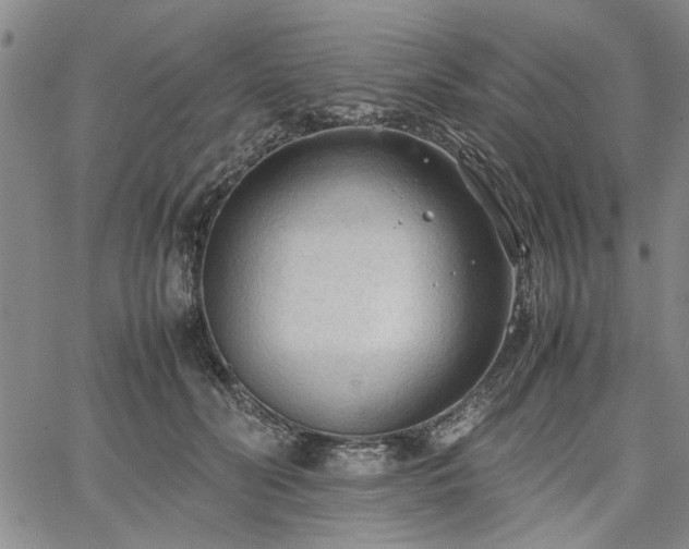 X0000067520606200604071323