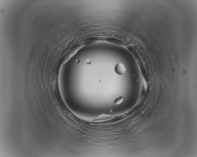 X0000067520607200604071323