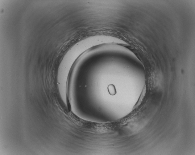 X0000067520608200604071323