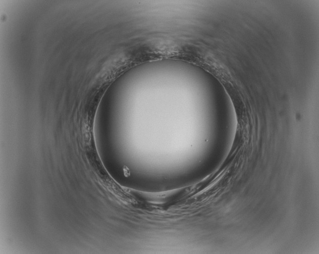 X0000067520609200604071323