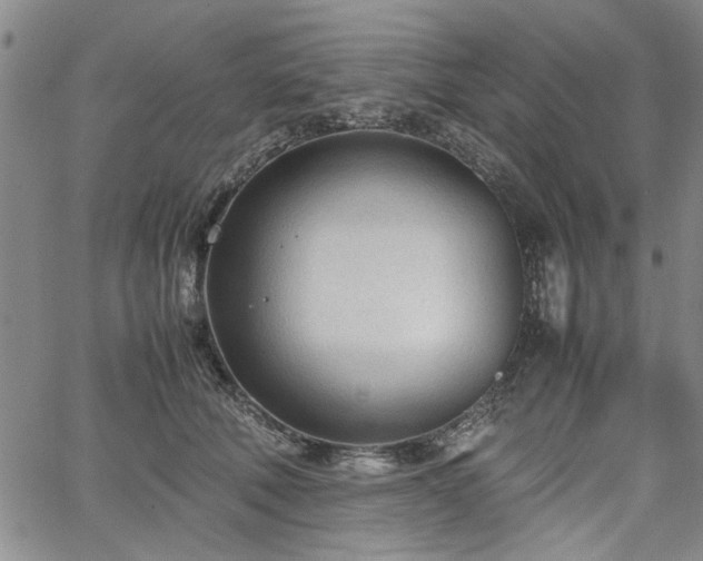 X0000067520610200604071323