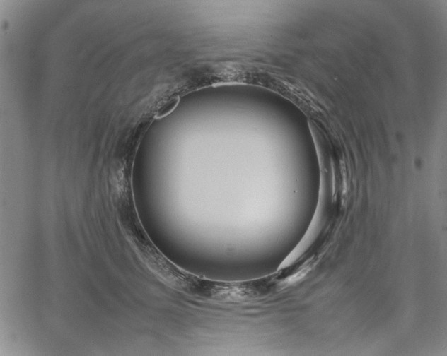 X0000067520611200604071323