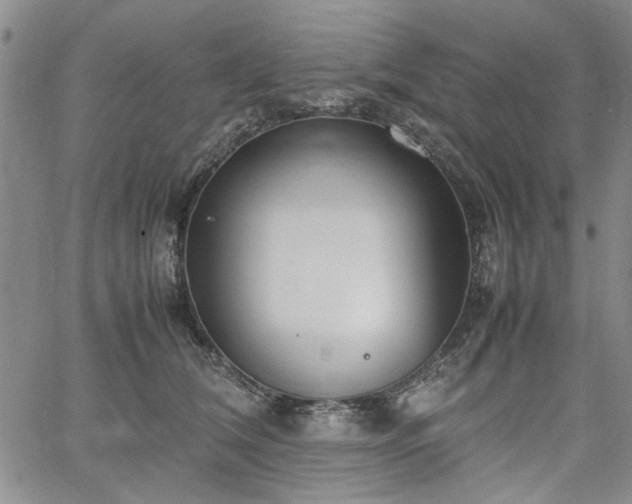 X0000067520612200604071323