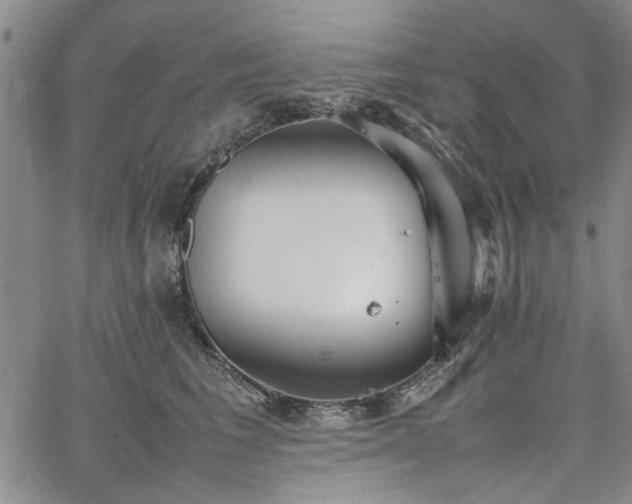 X0000067520613200604071323