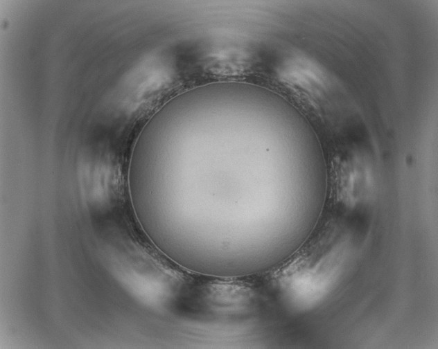 X0000067520614200604071323