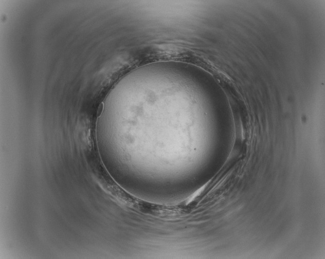 X0000067520615200604071323