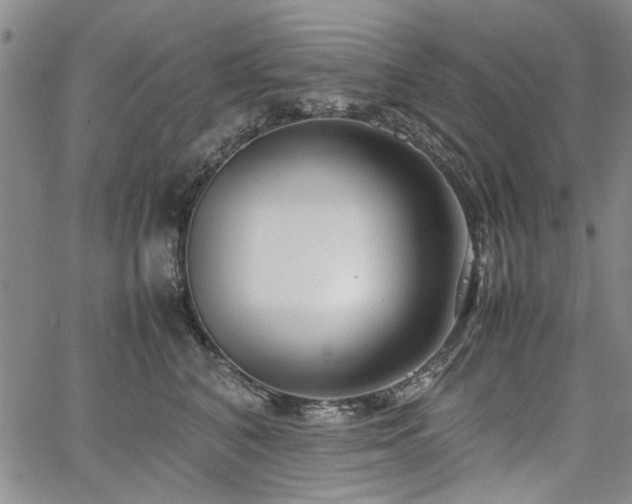 X0000067520616200604071323