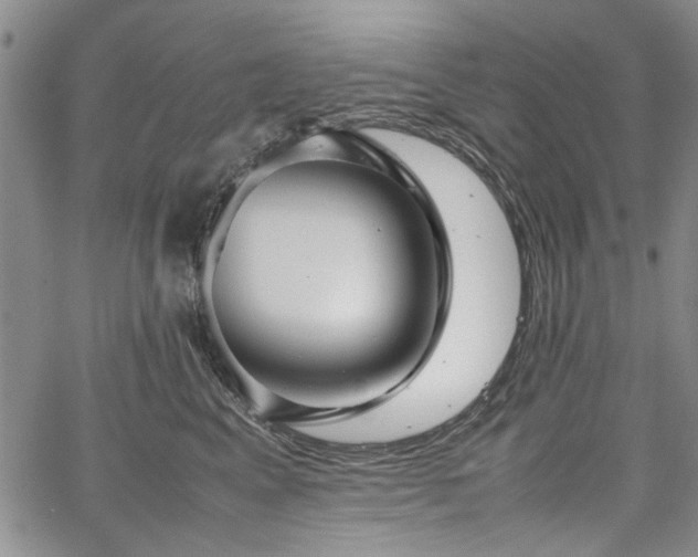 X0000067520617200604071323