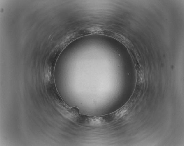 X0000067520618200604071323