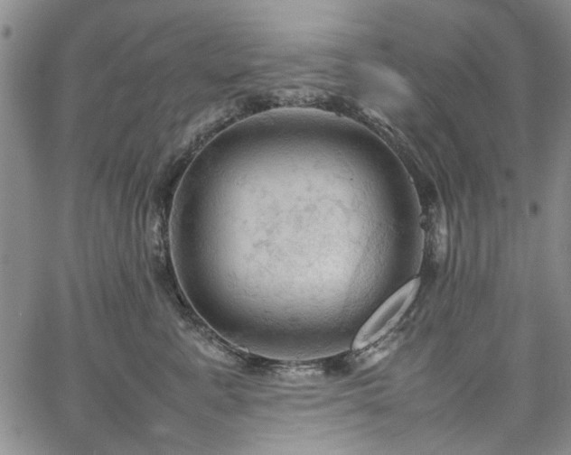 X0000067520619200604071323