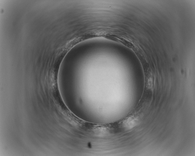 X0000067520620200604071323