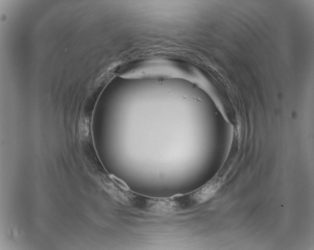 X0000067520621200604071323