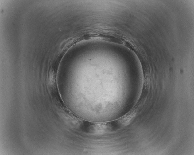 X0000067520623200604071323