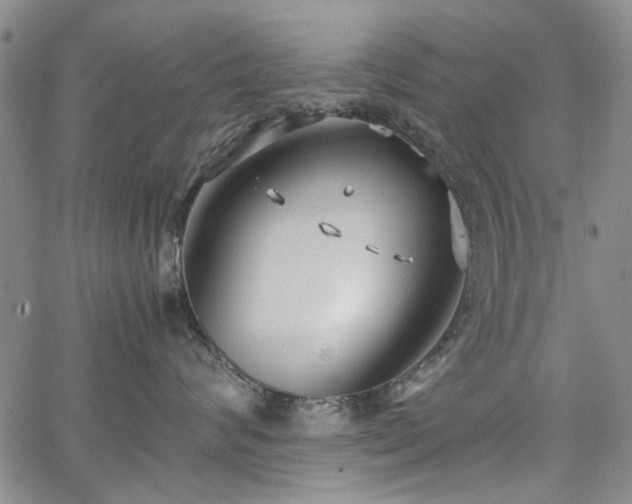 X0000067520624200604071323