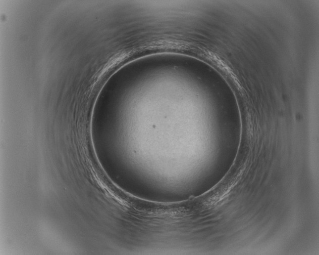 X0000067520625200604071322