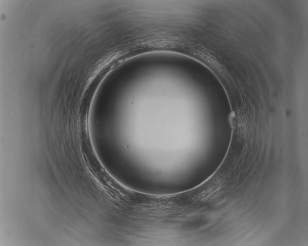 X0000067520626200604071322