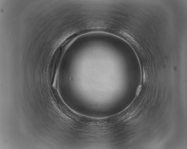 X0000067520627200604071322