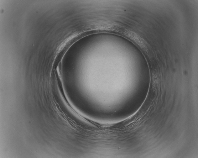 X0000067520628200604071322