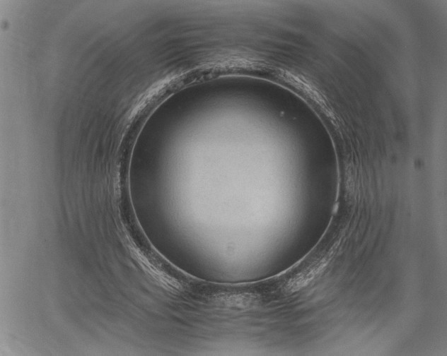 X0000067520629200604071322