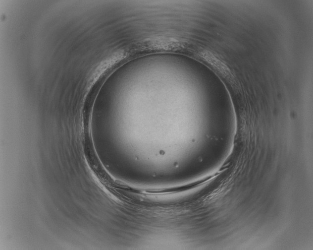 X0000067520630200604071322