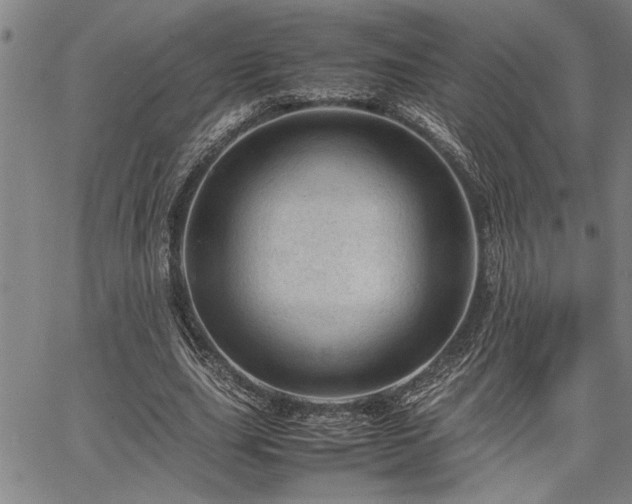 X0000067520631200604071322