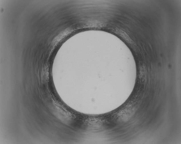 X0000067520632200604071322