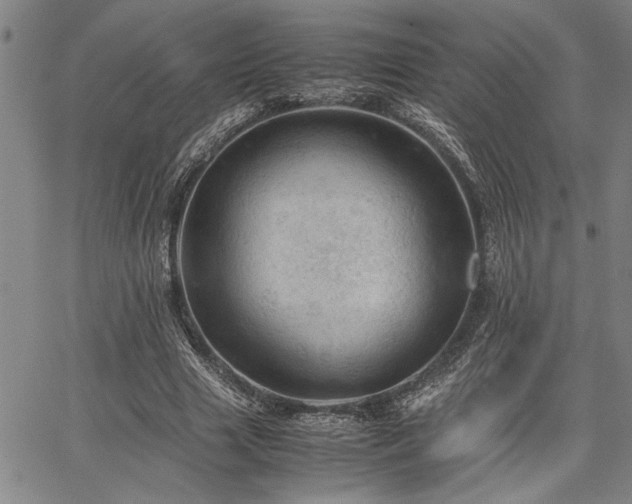 X0000067520633200604071322