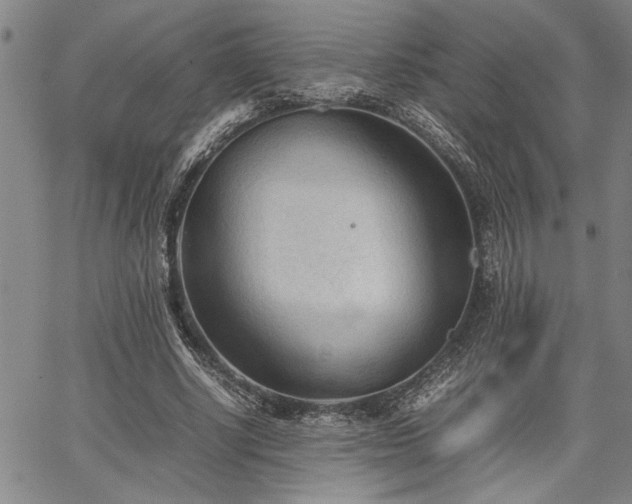 X0000067520634200604071322