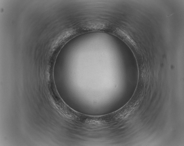 X0000067520635200604071322