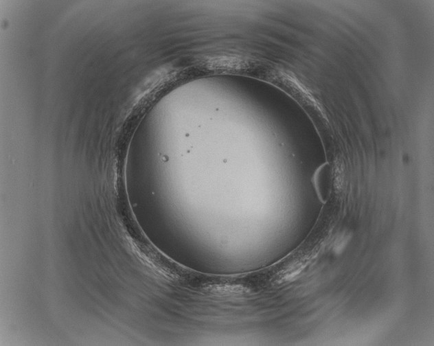 X0000067520637200604071322