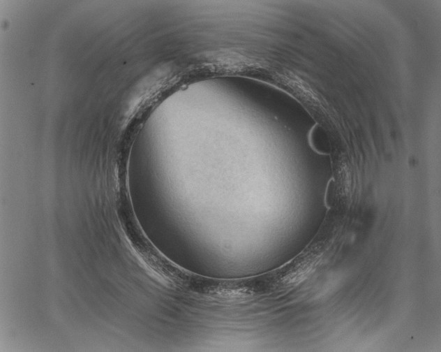 X0000067520638200604071322