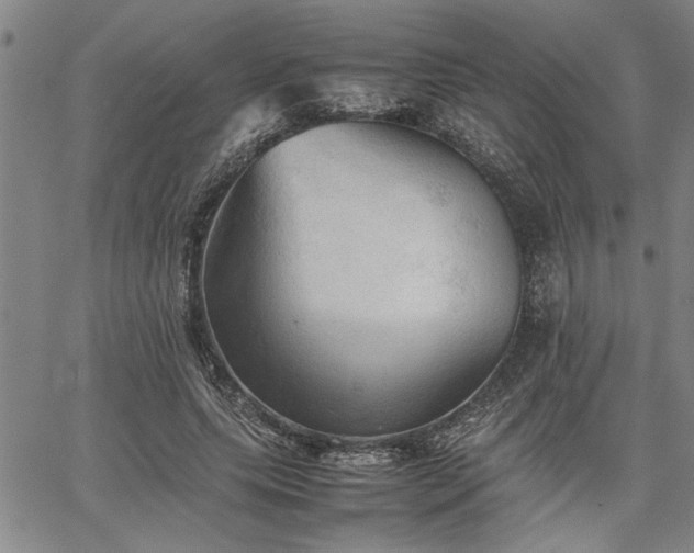 X0000067520639200604071322