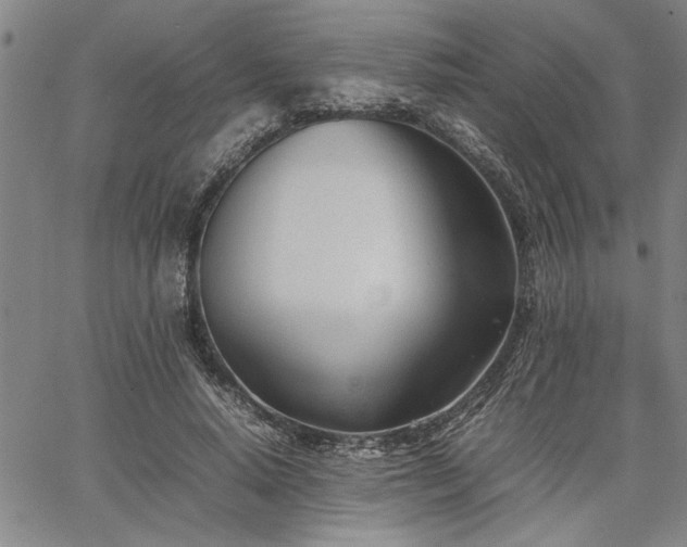 X0000067520640200604071322