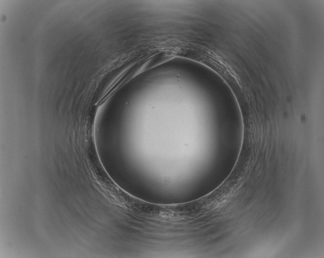 X0000067520641200604071322