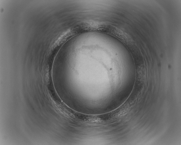 X0000067520642200604071322