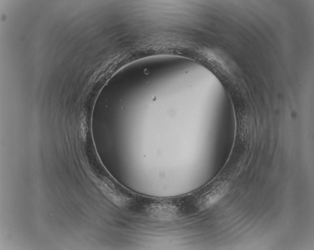 X0000067520644200604071322