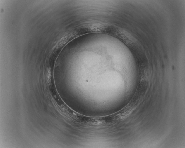 X0000067520646200604071322