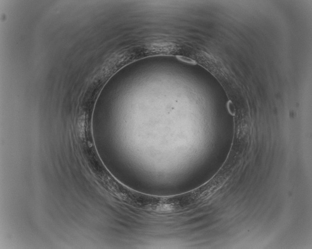 X0000067520647200604071322