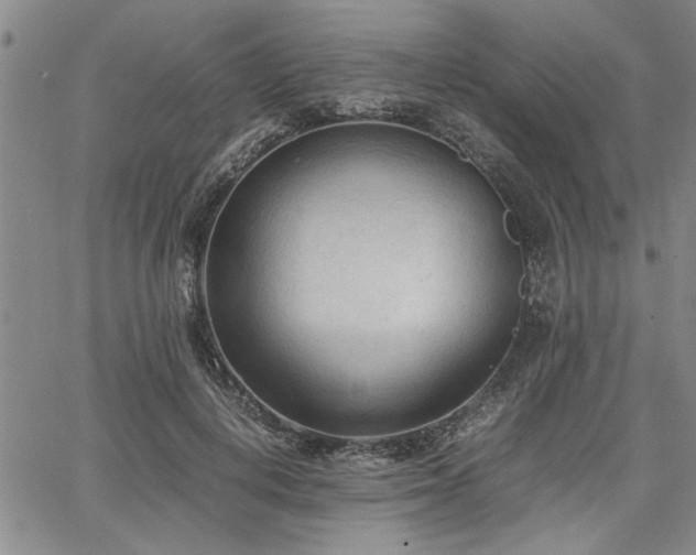 X0000067520648200604071322