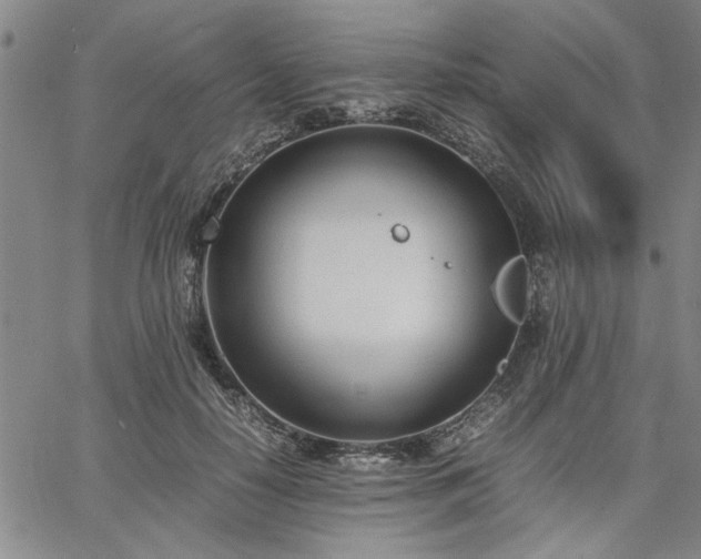 X0000067520650200604071322