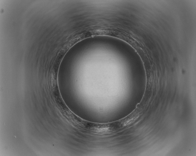 X0000067520651200604071322