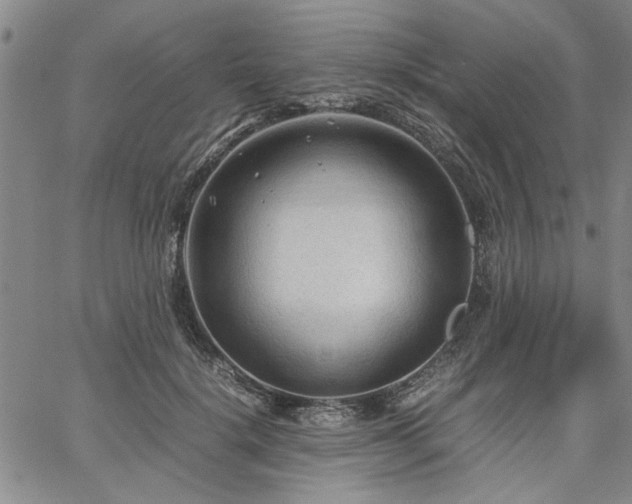 X0000067520652200604071322