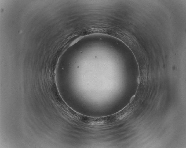 X0000067520653200604071322