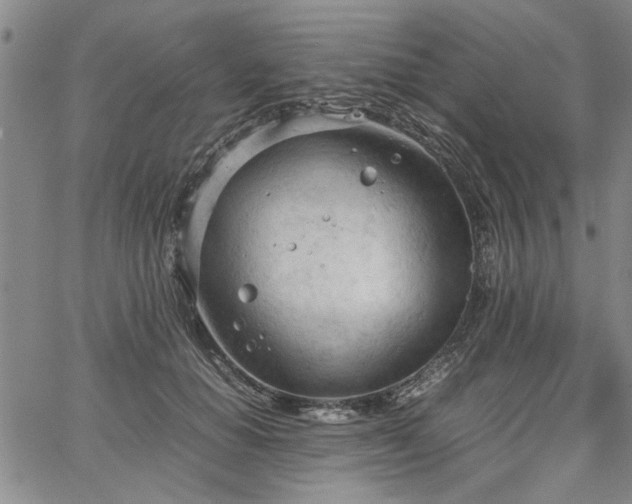 X0000067520654200604071322