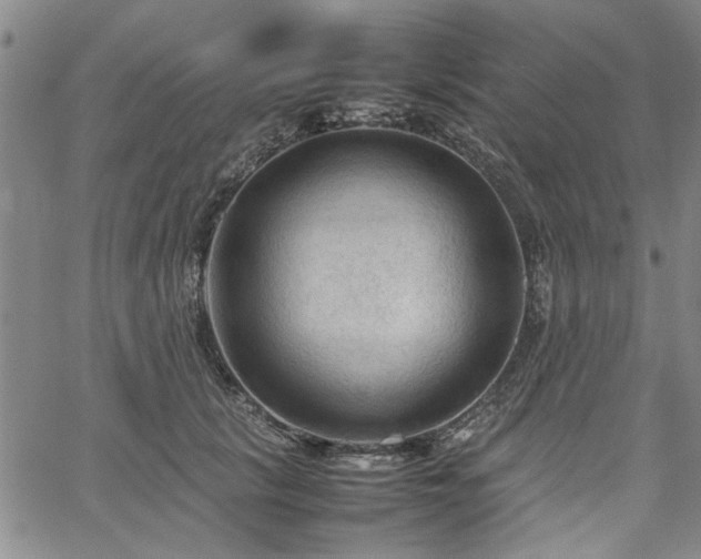 X0000067520657200604071322