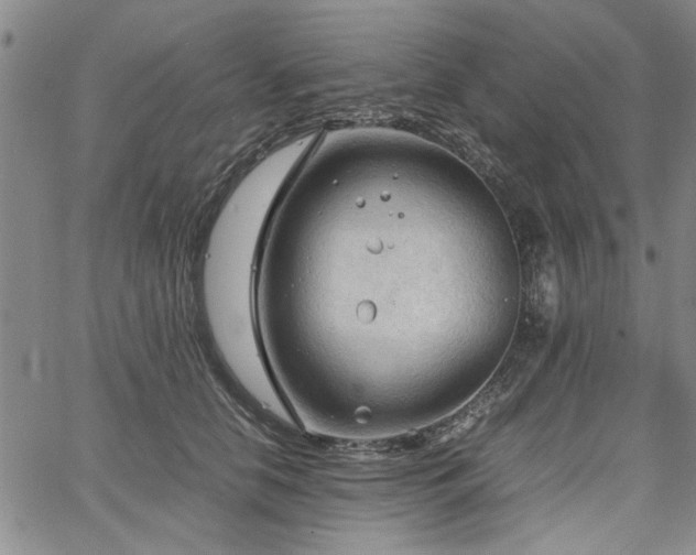 X0000067520658200604071322